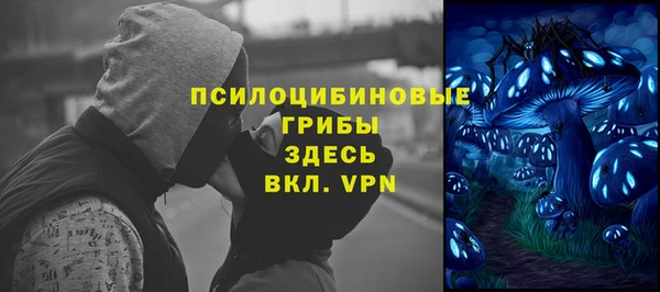 дурь Гусев