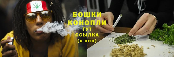 дурь Гусев