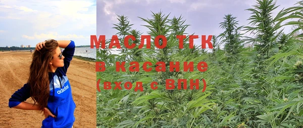 дурь Гусев