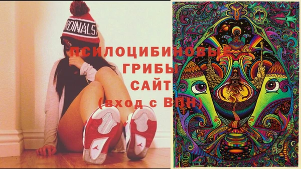 дурь Гусев