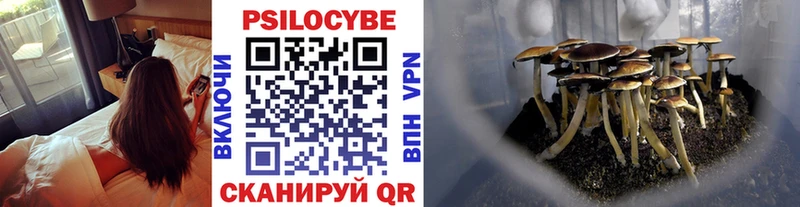 Галлюциногенные грибы прущие грибы  Купить  Железноводск 